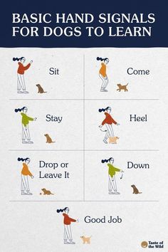 a poster with instructions on how to learn basic hand signals for dogs to learn