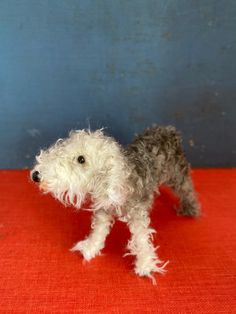 a small gray and white dog standing on top of a red surface