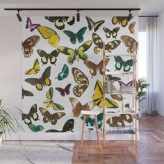 a room with a white wall covered in lots of butterflies