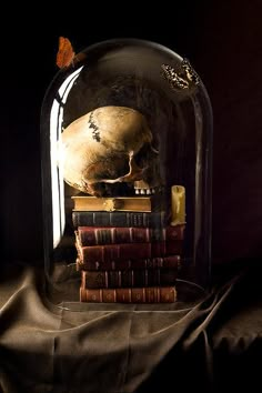 a skull in a glass dome on top of books