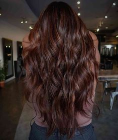 Dark Chocolate Cinnamon Hair, Dark Brown Reddish Hair With Highlights, Chocolate Brown Hair Red Highlights, Smoky Copper Hair, Copper To Brown Hair Before And After, Brown Hair Red Undertone Highlights, Darker Hair Dye Ideas, Dark Honey Red Hair, Natural Dark Copper Hair