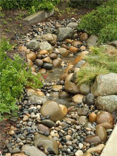 a small stream running through a lush green forest filled with lots of rocks and plants