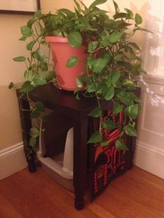 a potted plant sitting on top of a wooden stand