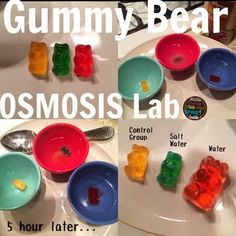 gummy bears are sitting in bowls on the sink