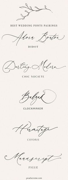 four different types of calligraphy are shown in black and white, with the names below them