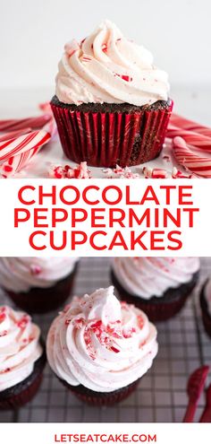 chocolate peppermint cupcakes with white frosting and sprinkles