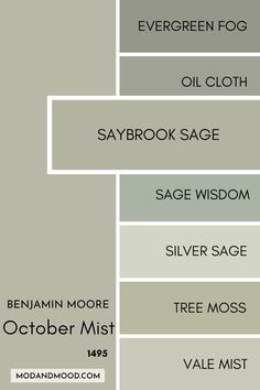 Benjamin Moore October Mist swatched beside similar colors, with a large swatch of Saybrook Sage over the others. Benjamin Moore Green Gray, Green Paint Colors Benjamin Moore, Saybrook Sage, Benjamin Moore Paint Colors Gray, October Mist, Benjamin Moore Bedroom, Benjamin Moore Green, Benjamin Moore Kitchen