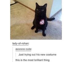 a black cat sitting on the floor with its tongue out