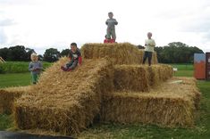 children are standing on hay bales in the middle of a grassy area with other kids