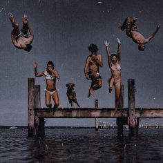 four people jumping off a dock into the water with their dogs in front of them