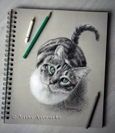 a pencil drawing of a cat with green eyes