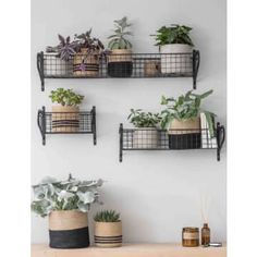 three metal shelves with plants on them and one shelf holding potted plants in it