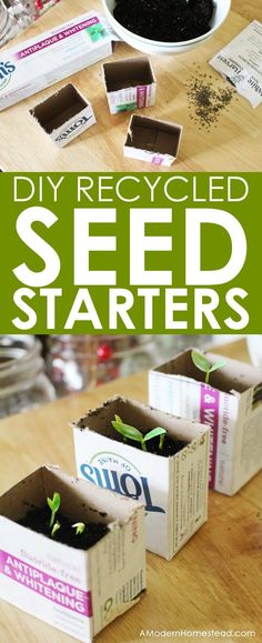 some seed startings are sitting in boxes on a table with the words diy recycled seed starters