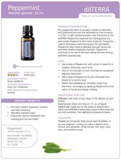 Peppermint essential oil uses Peppermint Doterra, Peppermint Essential Oil Uses, Peppermint Oil Uses, Pseudotsuga Menziesii