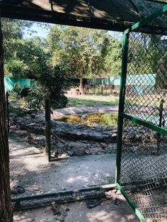 a zoo enclosure with water and trees in the background, including an animal exhibit area