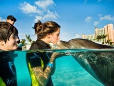 two people in wetsuits are looking at a dolphin under the water with buildings in the background