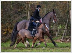 two people riding on the backs of brown horses in a wooded area with trees behind them