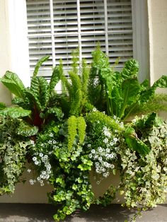 a planter filled with lots of green plants next to a white window sill