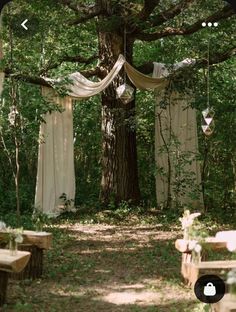 an outdoor wedding setup with draping and tables under a tree in the woods