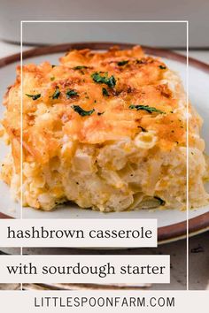 hashbrown casserole with sourdough starter on a white plate