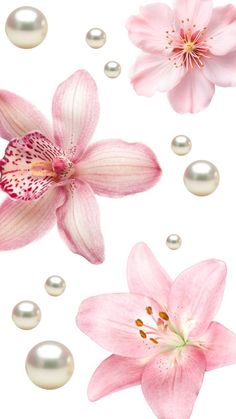 pink flowers and pearls on a white background