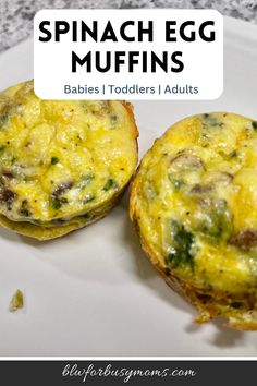 two mini egg muffins on a white plate with the words, spinach egg muffins babies toddlers'adults