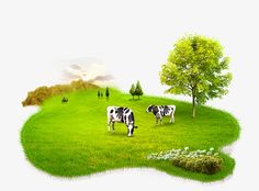 two cows are grazing on the grass in front of a small tree and some people