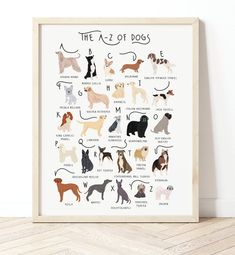 a framed poster with dogs in different colors and sizes on the wall next to a wooden floor