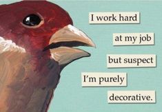 a painting of a bird with the words i work hard at my job but suspect i'm purely decorative