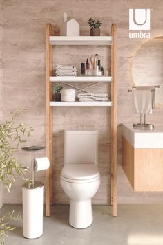 a white toilet sitting next to a wooden shelf