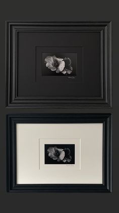 two black and white pictures hanging on the wall next to each other, one with a flower in it