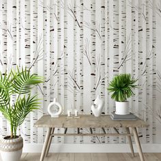 two potted plants sit on a table in front of a wall with birch trees