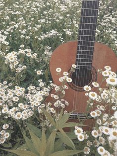 a ukulele sitting in the middle of a field of daisies