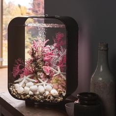 an aquarium with rocks and corals in it on a table next to a bottle