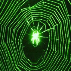 the inside of a spider web with green lights