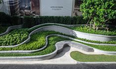 an outdoor garden area with green plants and curved concrete steps, surrounded by greenery