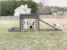 a dog is playing outside in the yard with his toy house and two dogs are on the grass