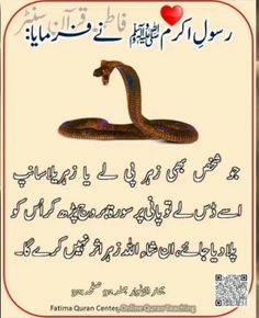 an image of a snake with the caption in english and arabic writing on it