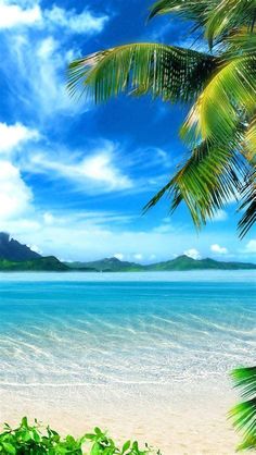 a tropical beach scene with palm trees and blue water in the background, under a partly cloudy sky