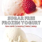 the cover of sugar free frozen yogurt