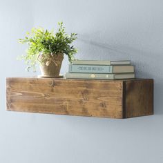 a wooden shelf with two books and a potted plant on top, against a white wall