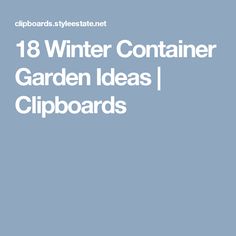 18 Winter Container Garden Ideas | Clipboards Winter Container Gardening, Container Garden Ideas, Container Garden, Winter Holidays, Container Gardening, Garden Ideas, For Sale