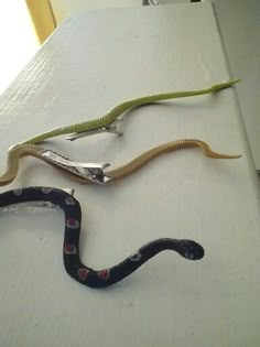 three different types of snakes on a white counter top with scissors in the foreground