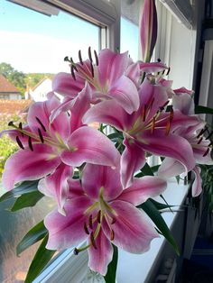 some pink flowers are in a vase by a window