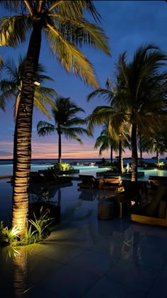 palm trees and lounge chairs are lit up at night