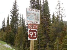 a street sign on top of a wooden pole in the middle of some trees and grass