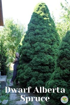 a woman standing next to a tall green tree