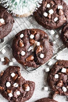 Hot Chocolate Cookies