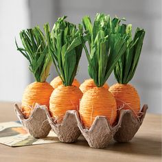 three orange carrots with green tops in an egg carton