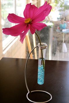 a pink flower in a glass vase filled with blue liquid on a table next to a window